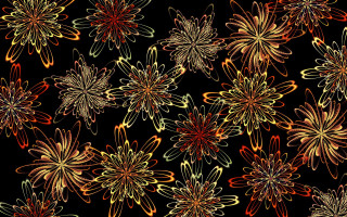 Black flowers generative art fireworks - earnst haeckel free wallpaper for desktop