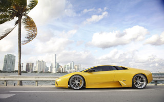 Yellow sports car city skyline - palm tree and a body of water free wallpaper