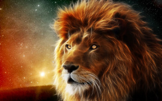 Lion red mane starry sky - majestic free wallpaper