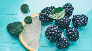 Lemon blackberries blue surface leaves - a blue surface free wallpaper for desktop