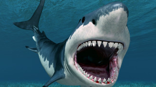 Shark open mouth photorealistic ocean - its mouth open free wallpaper
