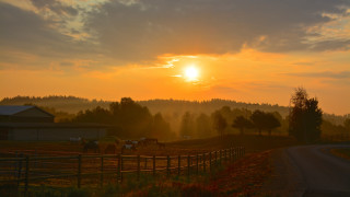 Sunset farm horses barn fence - horse free wallpaper