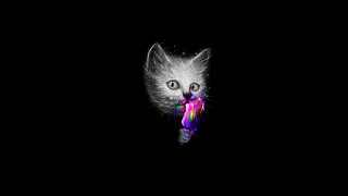 Cat purple bow psychedelic digital - a purple bow free wallpaper