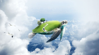 Flying turtle house tree ecological - surreal photography free wallpaper for desktop