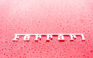 Ferrari hood closeup bernardo cavallino - white letter free wallpaper for desktop