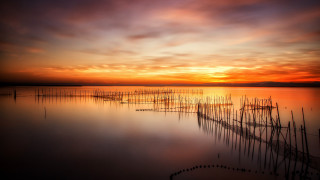 Sunset water poles boats urban - arthur pan free wallpaper