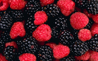 Raspberries blackberries closeup macro berries - berry free wallpaper for desktop