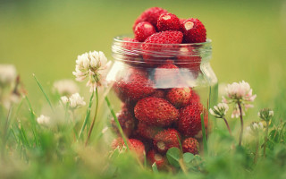 Jar strawberries green field flower - a lush green field of grass free wallpaper for desktop