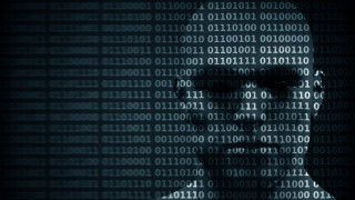 Cybernetics numbers wall portrait blush - number free wallpaper