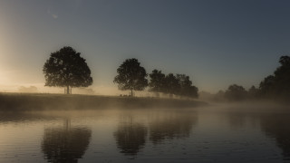 Foggy lake trees bench sunny - volumetric fog free wallpaper