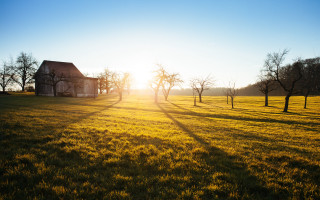 House field sunshine trees green - a house in a field free wallpaper