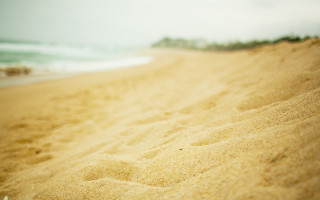 Sandy beach wave person shore - a sandy beach free wallpaper