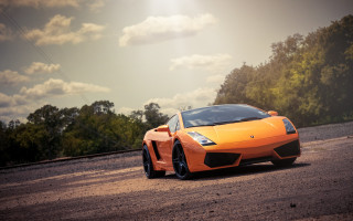 Orange sports car road trees 4 - nice looking orange sports car free wallpaper