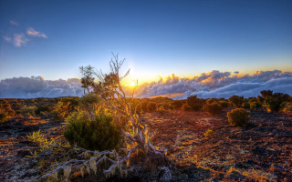 Desert tree sunset clouds mountain - the sun free wallpaper for desktop
