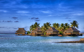 Beach huts ocean palm trees 2 - top of a beach next free wallpaper for desktop