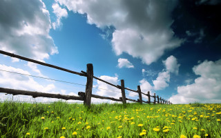 Flower field fence sky clouds - a fence free wallpaper for desktop