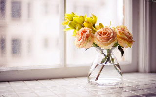 Vase yellow pink flowers window - a vase free wallpaper