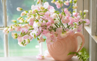 Pink vase pink white flowers - a window sill free wallpaper