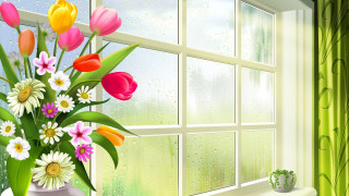 Vase flowers window sill green - a vase of flowers free wallpaper for desktop