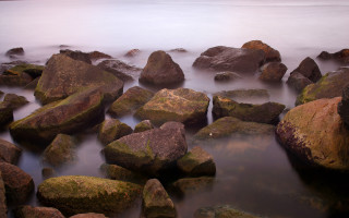 Rocky beach fog birds mountains - the rock free wallpaper