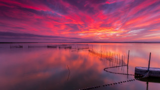 Boat sunset pink sky poles - a pink sky above free wallpaper