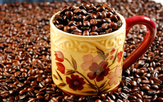 Coffee beans morning photorealism blurry - top of a bed free wallpaper