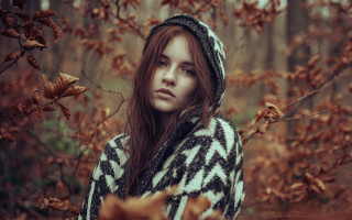 Woman sweater forest autumn butterfly - anka zhuravleva free wallpaper