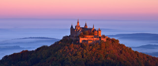 Castle fog hill trees sunset - a pink sky free wallpaper