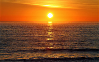 Sunset ocean boat bird matte - the water and a bird free wallpaper