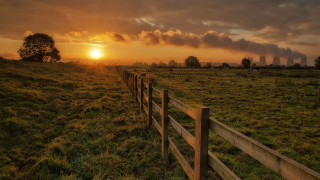 Fence field sunset clouds tree 2 - in a field free wallpaper for desktop