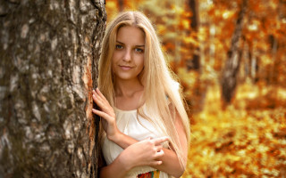 Woman tree woods autumn blonde - the tree trunk free wallpaper