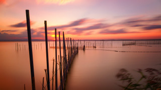 Beach poles sunset clouds ocean - arthur pan free wallpaper