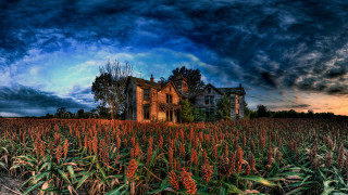 Large house field cloudy sky - award free wallpaper