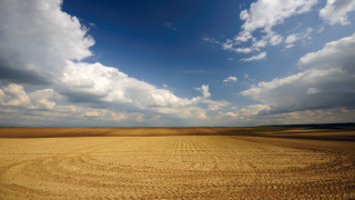 Field dirtroad clouds blue sky - andreas gursky free wallpaper for desktop