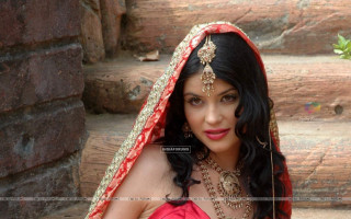 Woman red gold outfit pose 2 - canvas painting free wallpaper