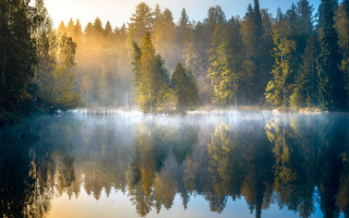 Lake foggy forest reflection autumn - over the water free wallpaper for desktop