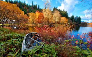 Autumn lake boat trees flower - the shore of a lake free wallpaper