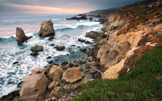 Rocky coast cloudy sky flower - a few flower free wallpaper