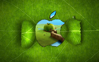 Green apple hole leaf tree - a green apple free wallpaper