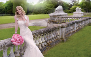 Bride blonde wedding dress bridge - a woman in a wedding dress holding free wallpaper