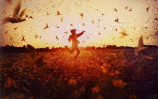 Man running field birds sunset - free autumn wallpaper