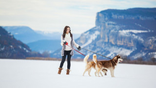 Woman dogs snow mountains outdoors - the background in the background free wallpaper
