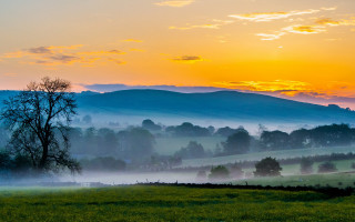 Sunset mountain tree fog beach - fog in the air free wallpaper