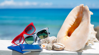 Sunglasses book ocean ledge shell - sunglass free wallpaper for desktop