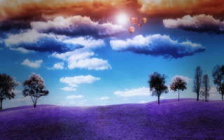 Landscape trees hotairballoons lavender sunset - hot air balloon free wallpaper