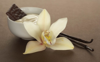 White flower chocolate bowl spoon - a spoon free wallpaper