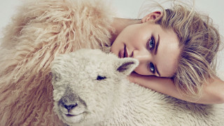 Woman sheep laying blonde blue - annabel kidston free wallpaper