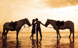 Romantic horses beach sunset silhouette - two horse free wallpaper