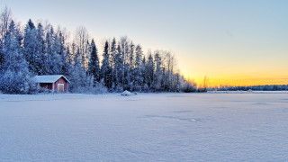 Snowy cabin dawn trees matte - a snowy field free wallpaper