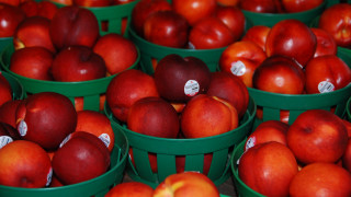 Baskets red apples cut open - red apple free wallpaper